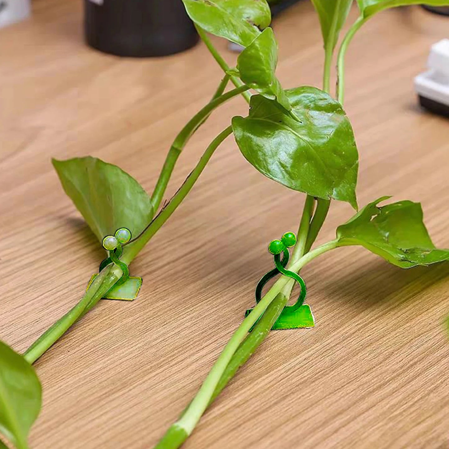 DIVERSE DEPOT™ - Self-Adhesive Plant Climbing Clips