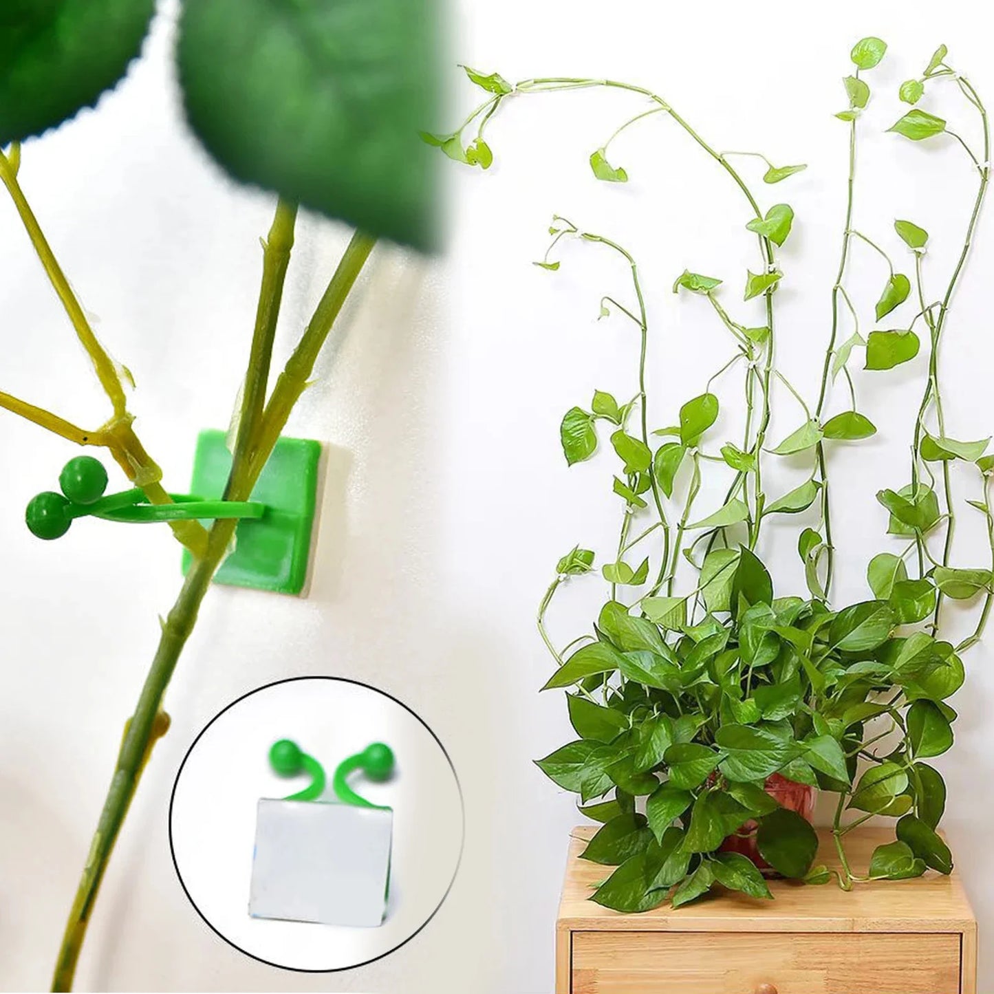 DIVERSE DEPOT™ - Self-Adhesive Plant Climbing Clips