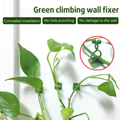 DIVERSE DEPOT™ - Self-Adhesive Plant Climbing Clips