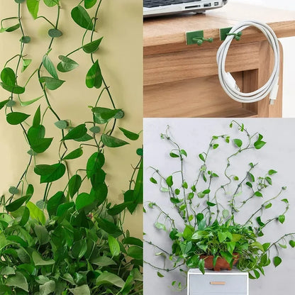 DIVERSE DEPOT™ - Self-Adhesive Plant Climbing Clips