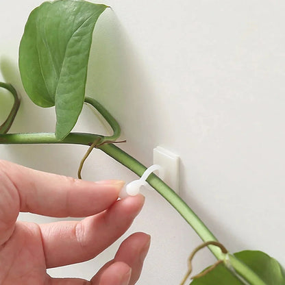 DIVERSE DEPOT™ - Self-Adhesive Plant Climbing Clips